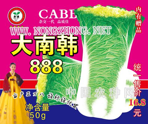 大南韩888 20-24(50g)高颗